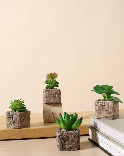 Faux Succulents In Rustic Ceramic Pots | Set Of 4