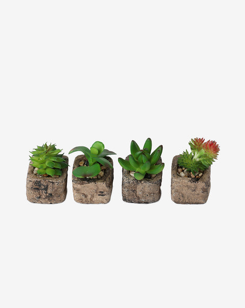 Faux Succulents In Rustic Ceramic Pots | Set Of 4