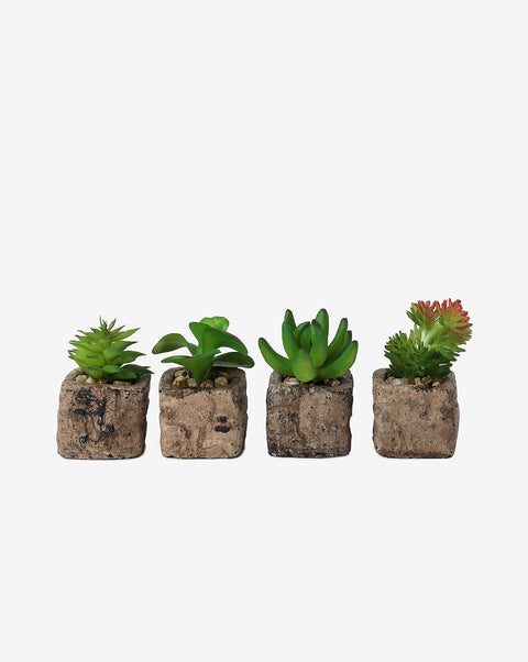 Faux Succulents In Rustic Ceramic Pots | Set Of 4