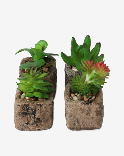 Faux Succulents In Rustic Ceramic Pots | Set Of 4