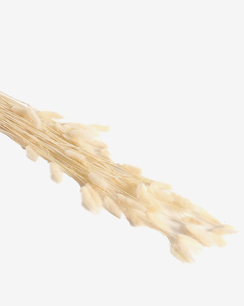White Bunny Tails Dried Natural Decorative Bouquet