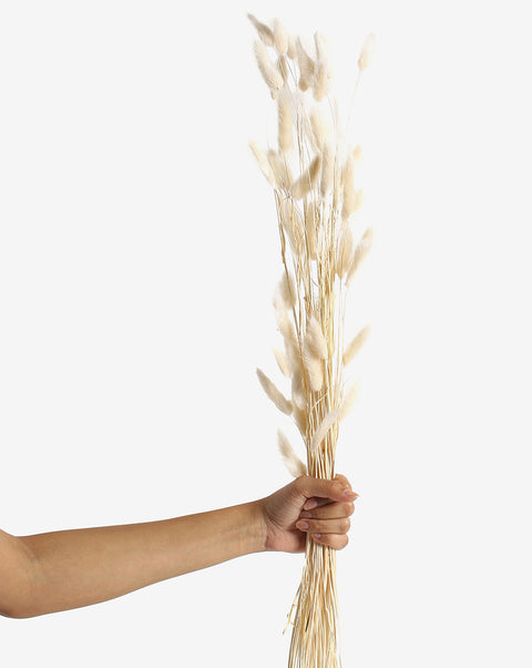 White Bunny Tails Dried Natural Decorative Bouquet