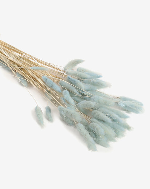 Blue Bunny Tails Dried Natural Decorative Bouquet