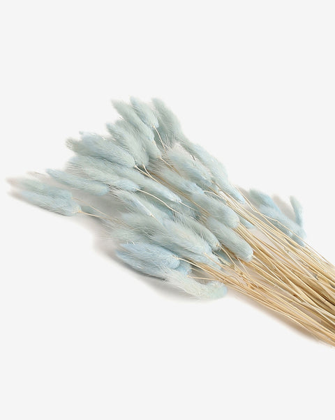 Blue Bunny Tails Dried Natural Decorative Bouquet
