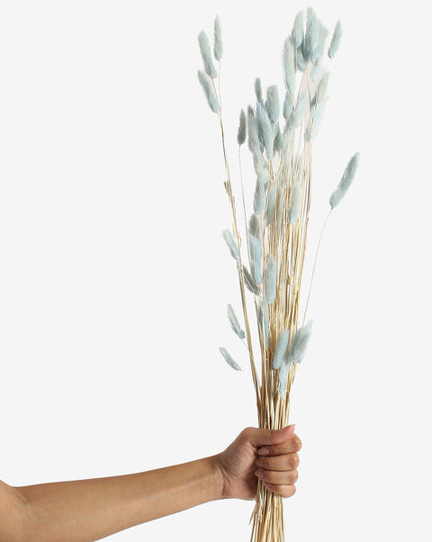Blue Bunny Tails Dried Natural Decorative Bouquet