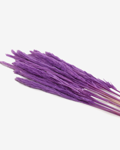Lavender Pampas Grass Dried Natural Decorative Bouquet | PACK OF 15