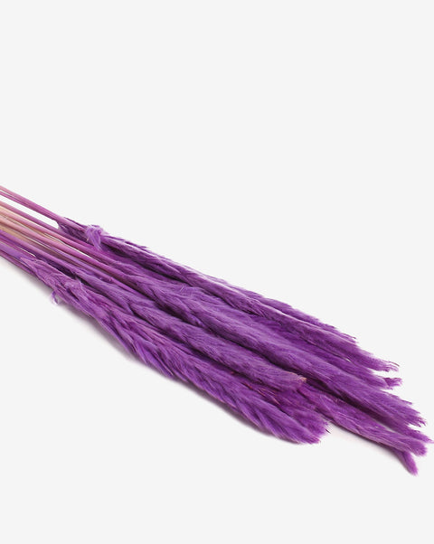 Lavender Pampas Grass Dried Natural Decorative Bouquet | PACK OF 15