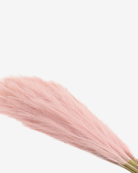 Pink Pampas Grass Dried Natural Decorative Bouquet | PACK OF 5