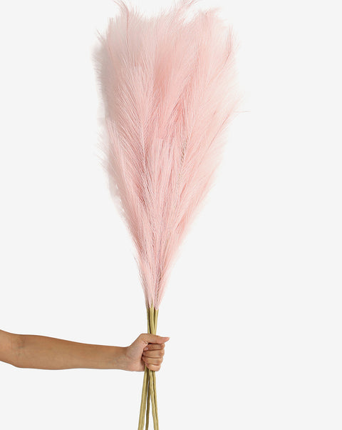 Pink Pampas Grass Dried Natural Decorative Bouquet | PACK OF 5