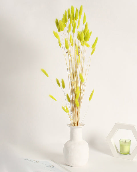 Neon Green Bunny Tails Dried Natural Decorative Bouquet