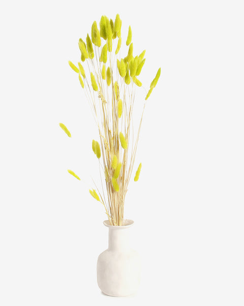 Neon Green Bunny Tails Dried Natural Decorative Bouquet